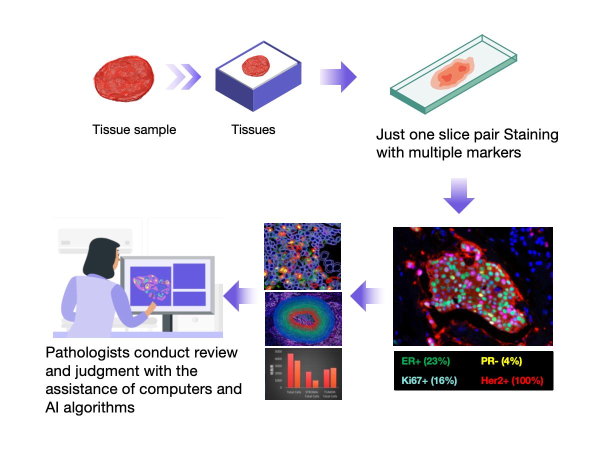 Digital pathology workflows